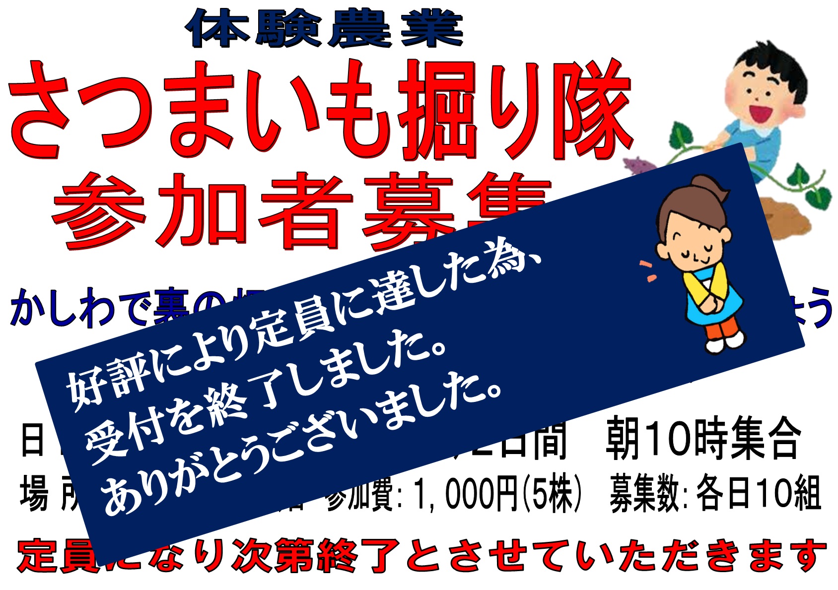 募集終了 さつまいも掘り隊 参加者募集！ | 農産物直売所 かしわで